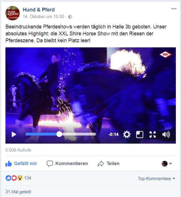 Hund & Pferd 2017, Highlights Shire Horses